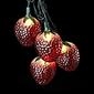 Strawberry String Lights